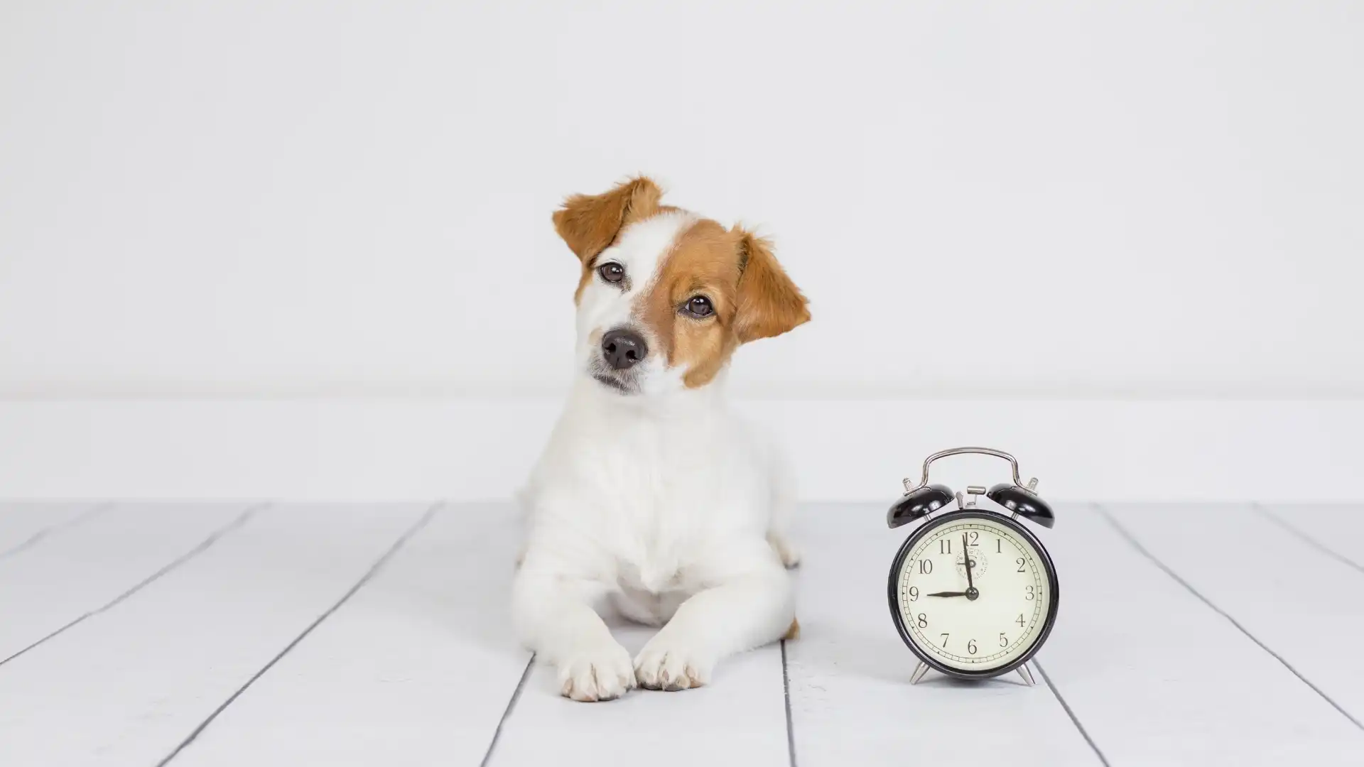 Резултатите не са моментални