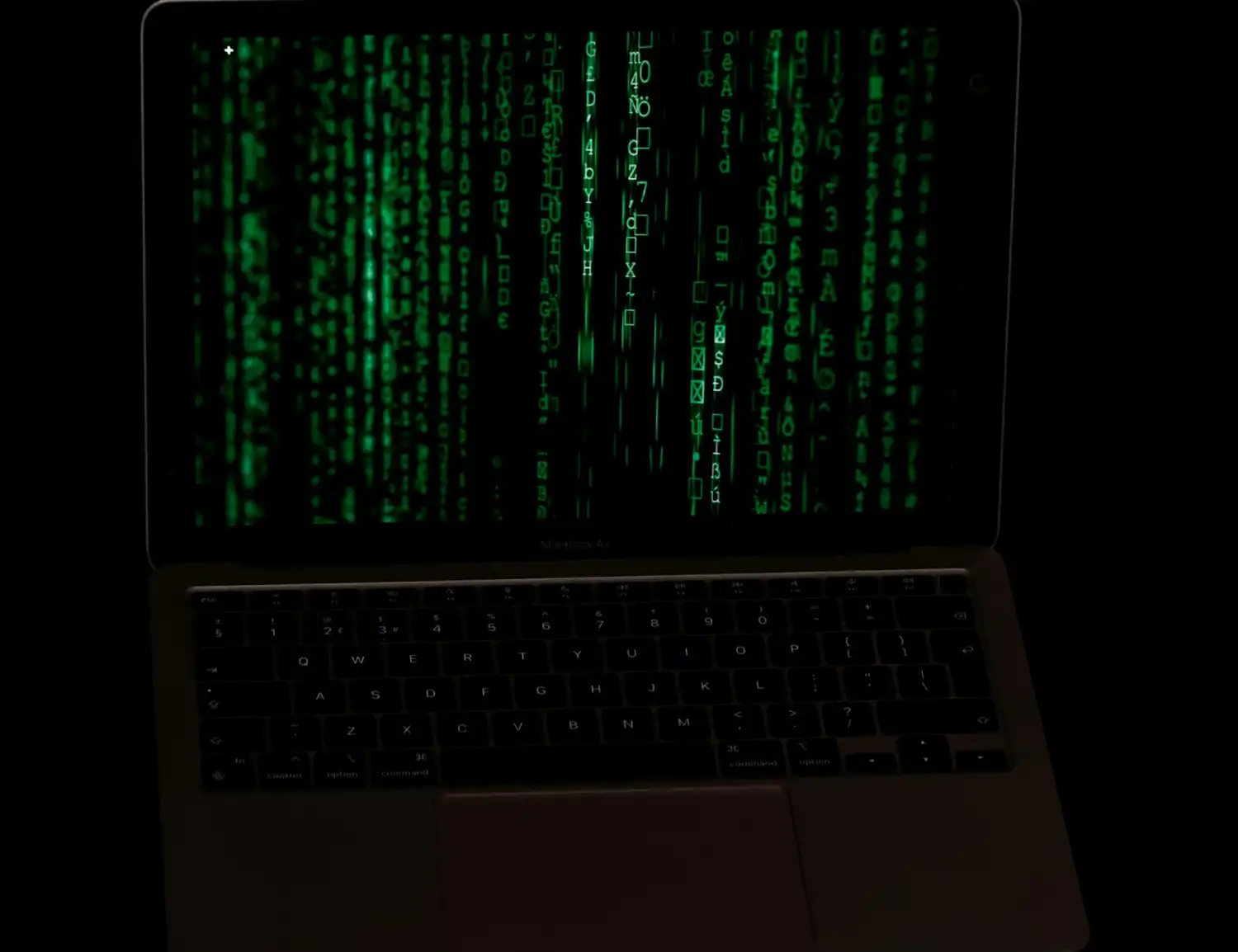 Как да възстановим хакнат сайт? Прости, но ефективни стъпки