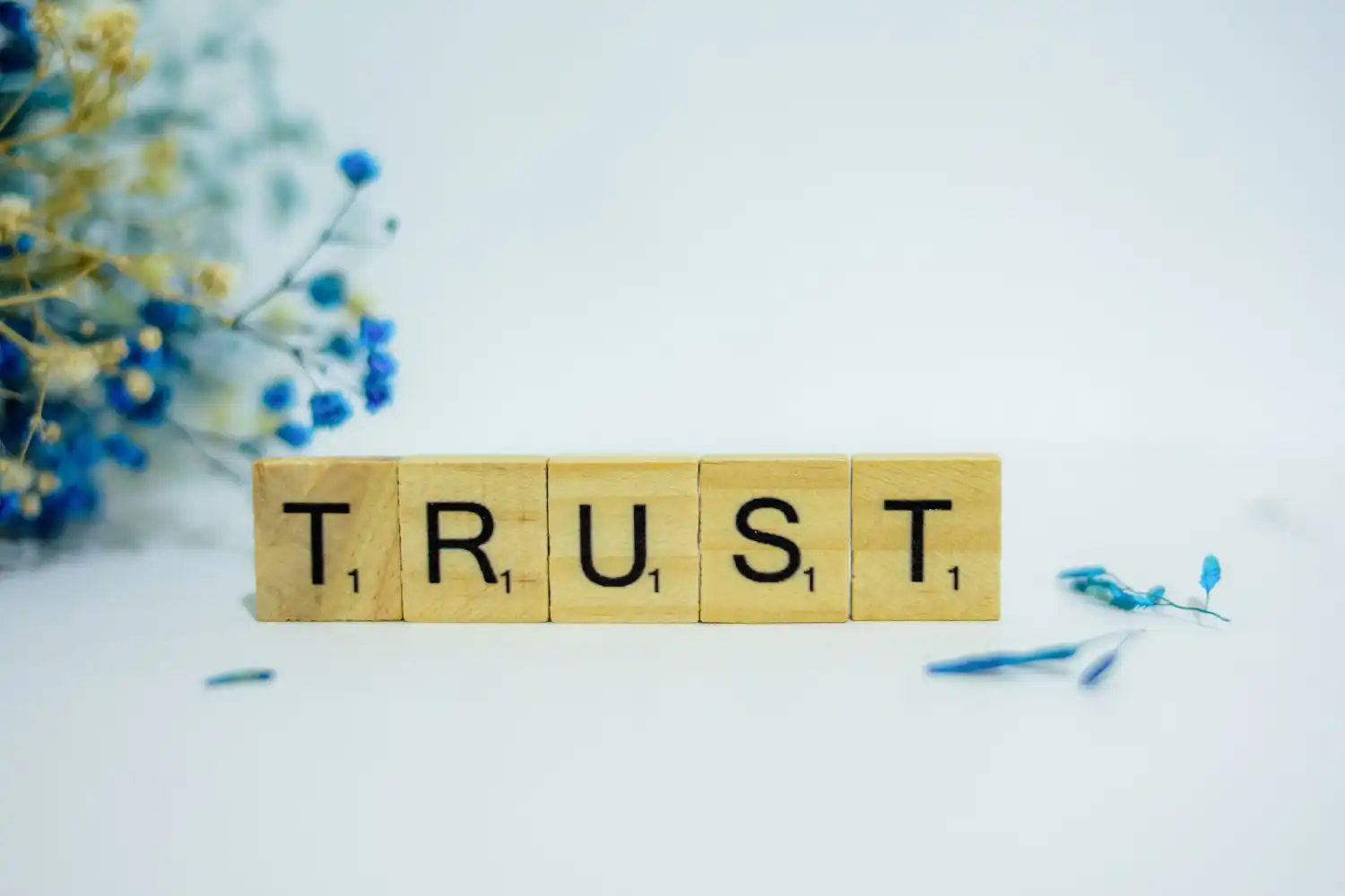 Как да покажеш експертиза и доверие?